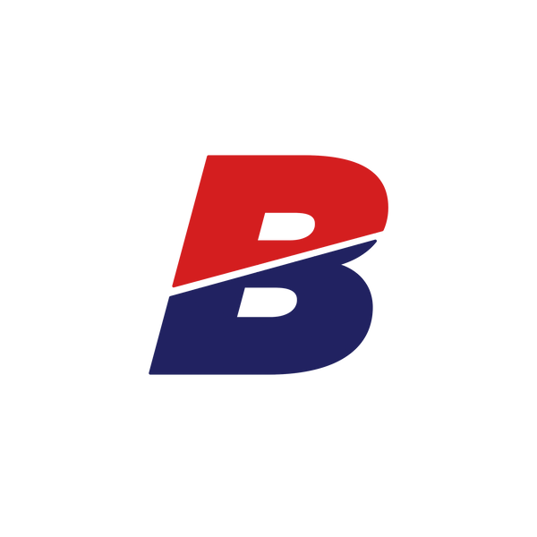 BAYLEN LEVINE logo